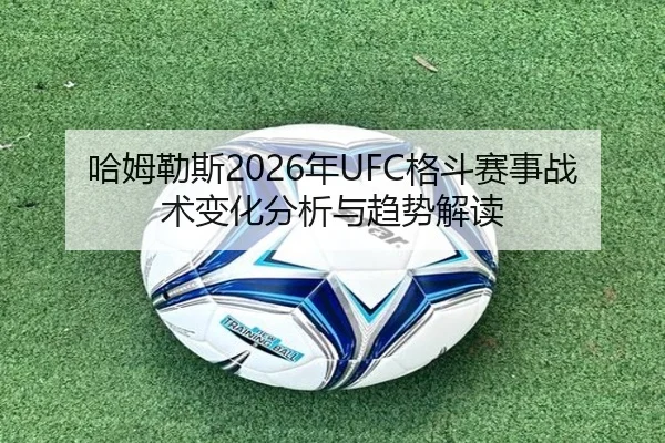 哈姆勒斯2026年UFC格斗赛事战术变化分析与趋势解读