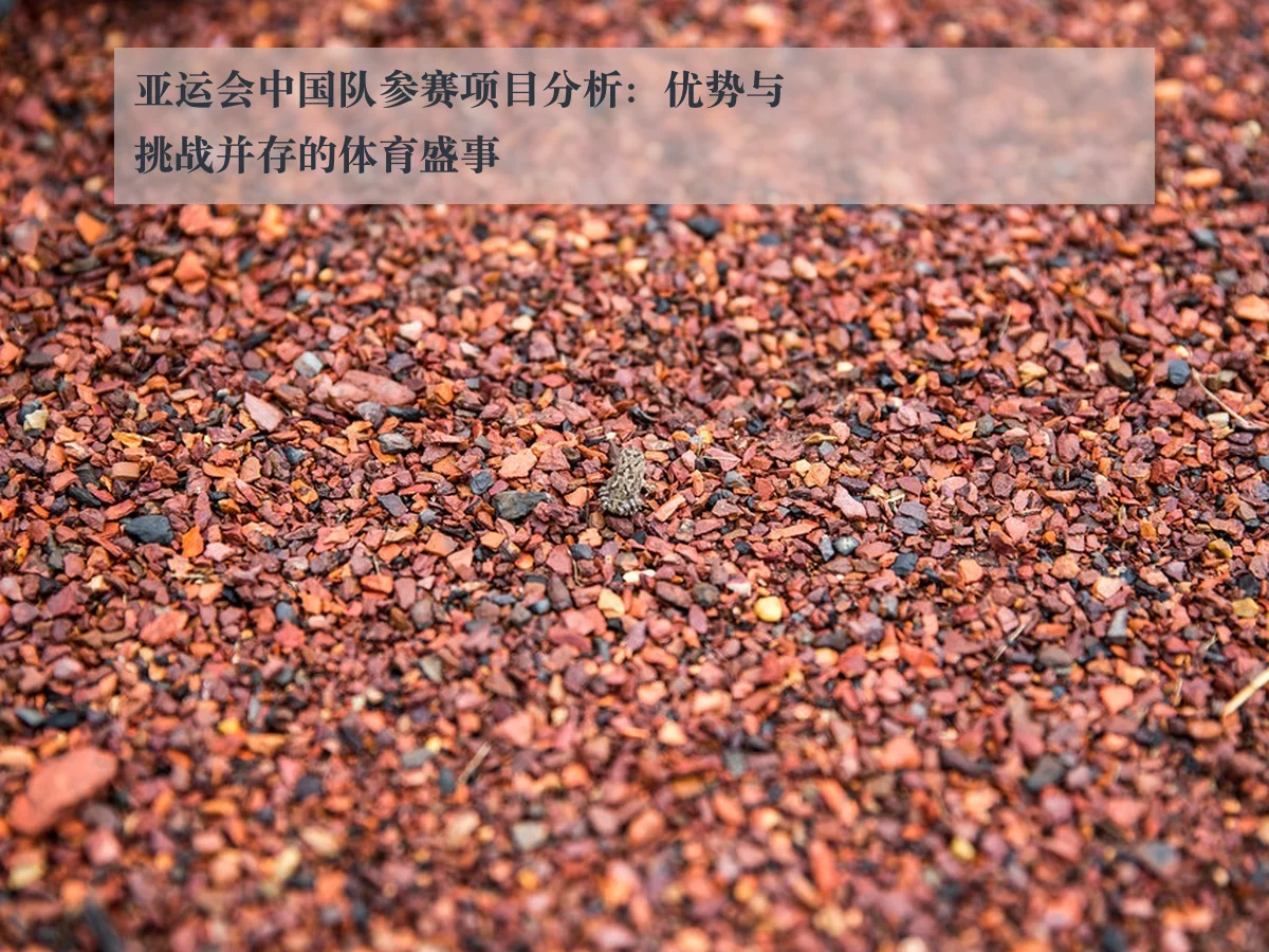 亚运会中国队参赛项目分析：优势与挑战并存的体育盛事